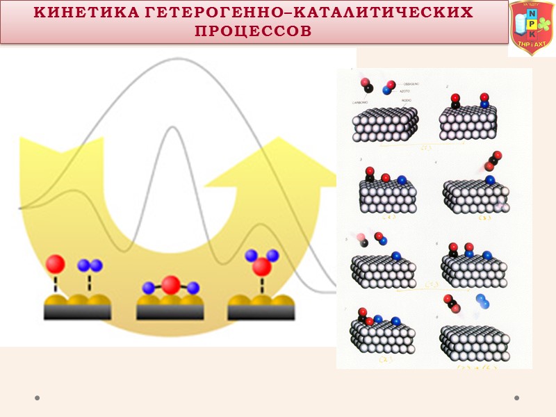 Кинетика Гетерогенно–КаталитическиХ процессОВ